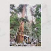 Kurama-dera (Yoshitsune-do hall) Postkarte (Vorderseite)