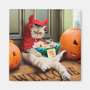 Kurbelbauchkatze Magnet