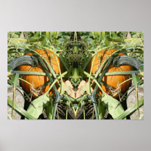 Kürbis am Rebstock Herbst Spiegel Natur Kunst Poster