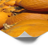 Kürbis auf Bauernhof im Herbst bei Concord, 2 Poster (Ecke)