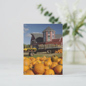 Kürbis auf Bauernhof im Herbst bei Concord, 2 Postkarte (Stehend Vorderseite)