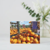 Kürbis auf dem Markt Postkarte (Stehend Vorderseite)