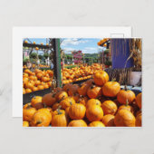Kürbis auf dem Markt Postkarte (Vorne/Hinten)