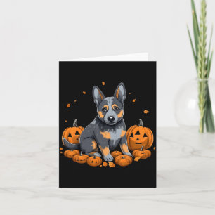 Kürbis Blue Heeler Kostüm Australischer Treibhund Karte
