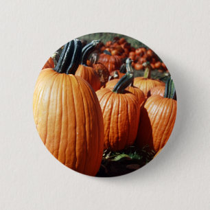 Kürbis Button