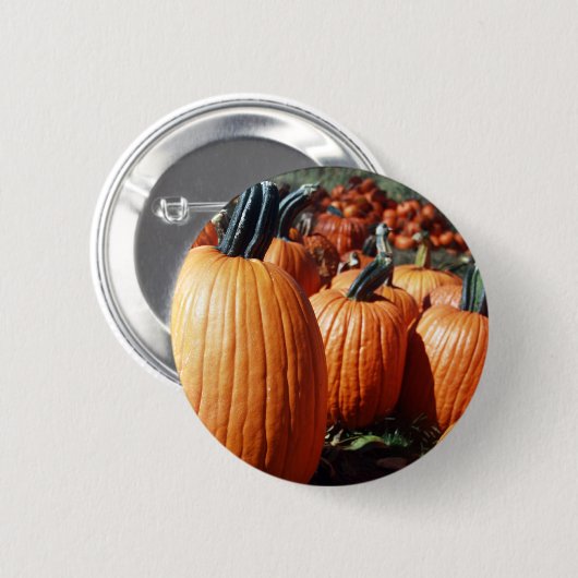 Kürbis Button (Vorne & Hinten)