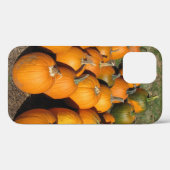 Kürbis Case-Mate iPhone Hülle (Rückseite (Horizontal))