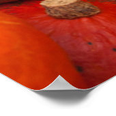 Kürbis, Deutschland Poster (Ecke)