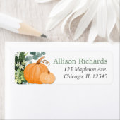 Kürbis-Eukalyptus-Pflanzen (Insitu)