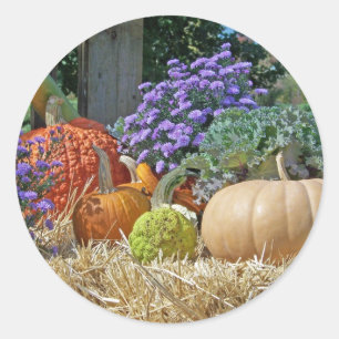 Kürbis-Fall-Herbst-lila Blumen-FriedensLiebe-Kunst Runder Aufkleber