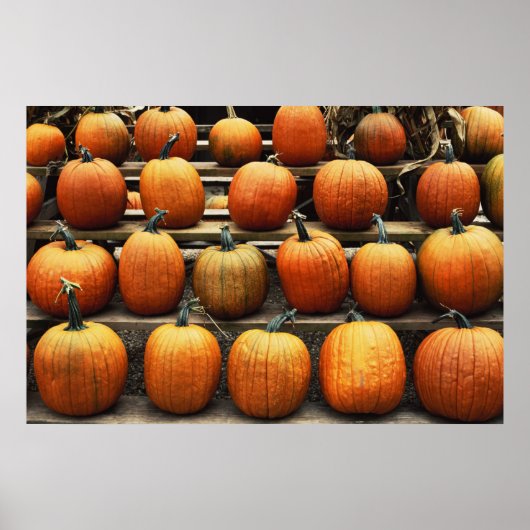 Kürbis fallen poster (Vorne)