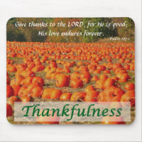 Kürbis-Flecken - Thankfulness