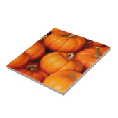 Kürbis Fliese (Seite)