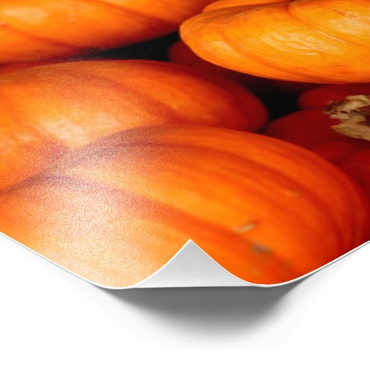 Kürbis Fotodruck (Ecke)