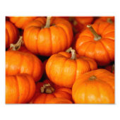 Kürbis Fotodruck (Vorne)