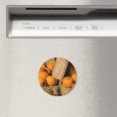 Kürbis frisch aus der Kiste Magnet (In Situ (Geschirrspüler))