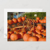 Kürbis für den Verkauf Postkarte (Vorne/Hinten)