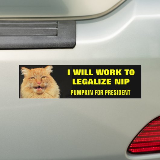 Kürbis für Präsidenten Legalize Nip- Bold Autoaufkleber (Auf Auto)