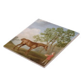 Kürbis Georges Stubbs | mit einem Stabil-Jungen Fliese (Seite)