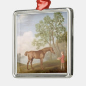 Kürbis Georges Stubbs | mit einem Stabil-Jungen Silbernes Ornament (Links)