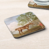 Kürbis Georges Stubbs | mit einem Stabil-Jungen Untersetzer (Linke Seite)