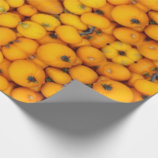 KÜRBIS GIFTWRAP GESCHENKPAPIER (Ecke)