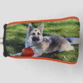 Kürbis GSD Golf Headcover (Vorderseite)