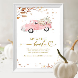 Kürbis-Herbst-Baby-Party Mein Wasser Ist Gebrochen Poster