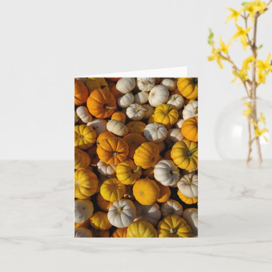 Kürbis Karte (Gelbe Blume)