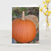 Kürbis Karte (Gelbe Blume)