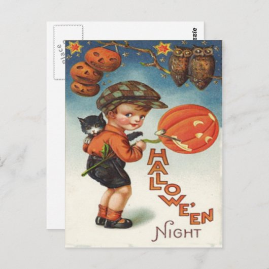 Kürbis-Kürbislaterne-Katzen-Junge Postkarte (Vorne/Hinten)