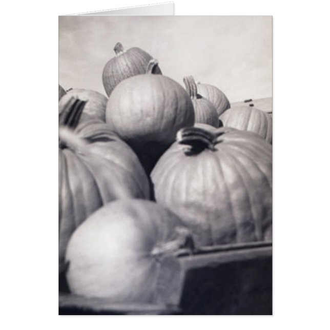 Kürbis-Lastwagen (Vorne)