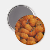 Kürbis Magnet (Vorderseite/Rückseite)