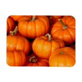 Kürbis Magnet (Horizontal)