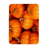 Kürbis Magnet (Vertikal)