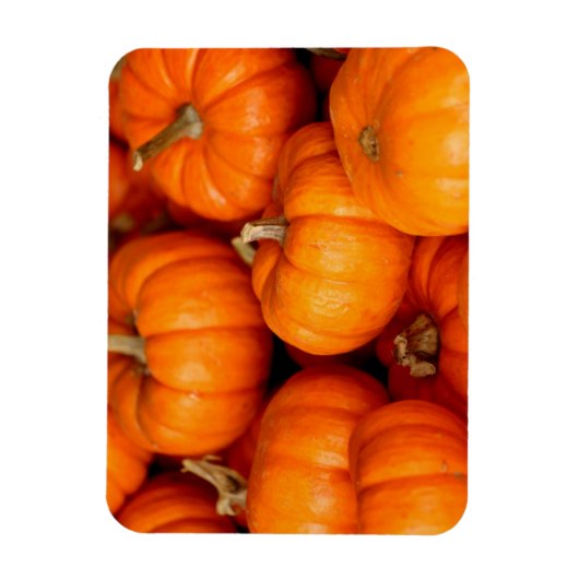 Kürbis Magnet (Vertikal)