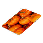 Kürbis Magnet (Linke Seite)