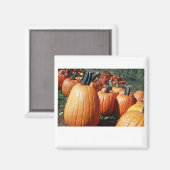 Kürbis Magnet (Vorderseite/Rückseite)