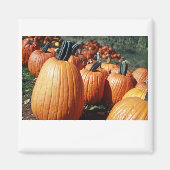 Kürbis Magnet (Vorne)