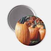 Kürbis Magnet (Vorderseite/Rückseite)