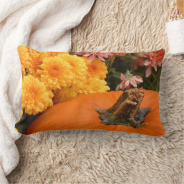 Kürbis mit Gelb- und Korallenmehl Lendenkissen