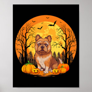 Kürbis mit lustigem Halloween-Kostüm Brüssel Poster