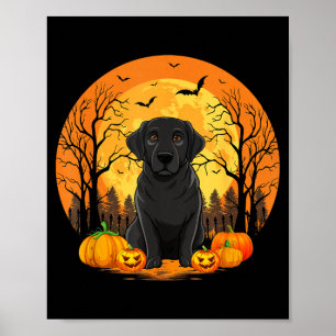 Kürbis mit lustigem Halloween-Kostüm Schwarz Poster