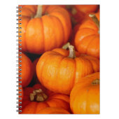 Kürbis Notizblock (Vorderseite)