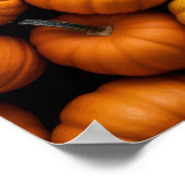 Kürbis Poster (Ecke)