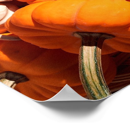 Kürbis Poster (Ecke)