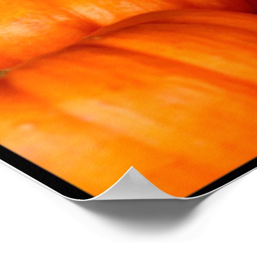 Kürbis Poster (Ecke)