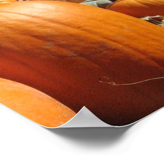 Kürbis Poster (Ecke)