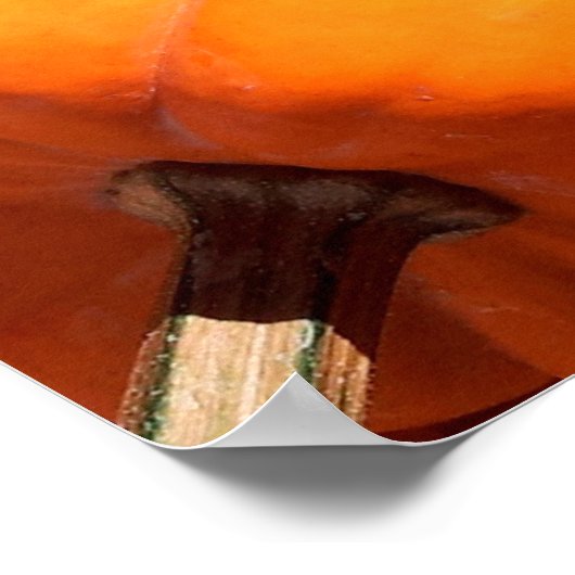 Kürbis Poster (Ecke)