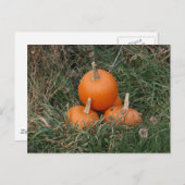 Kürbis Postkarte (Vorne/Hinten)